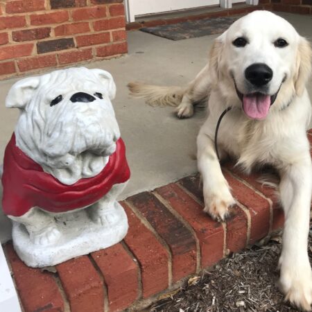 Mason and UGA
