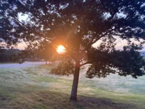 The sun breaks through -patient rights