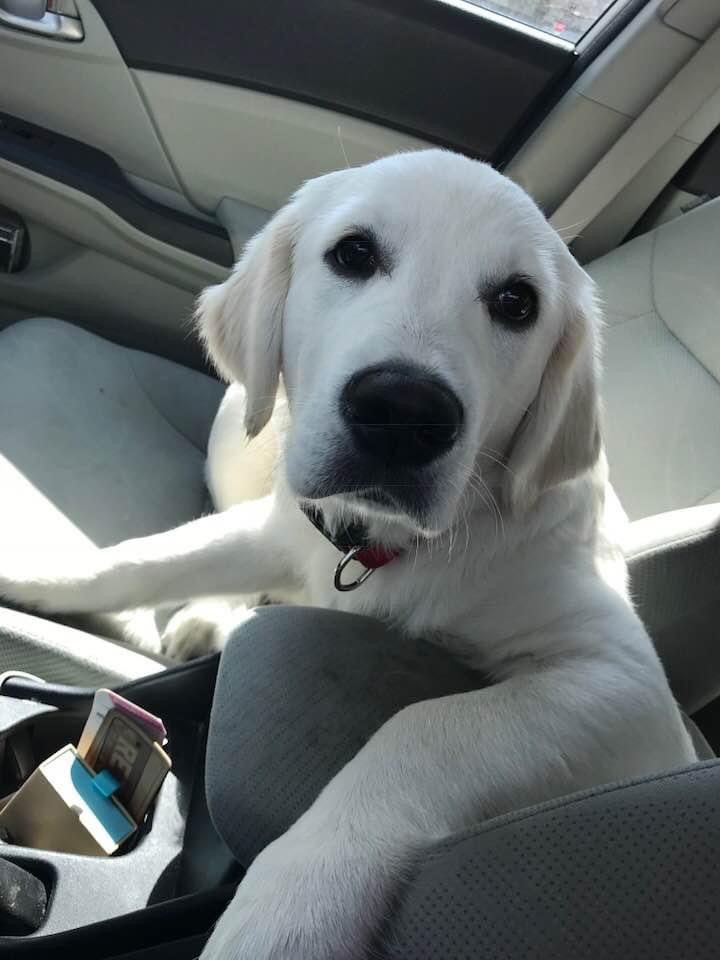 Oregon's Expanded Medicaid Estate Recovery Pulls Home Back Into Estate