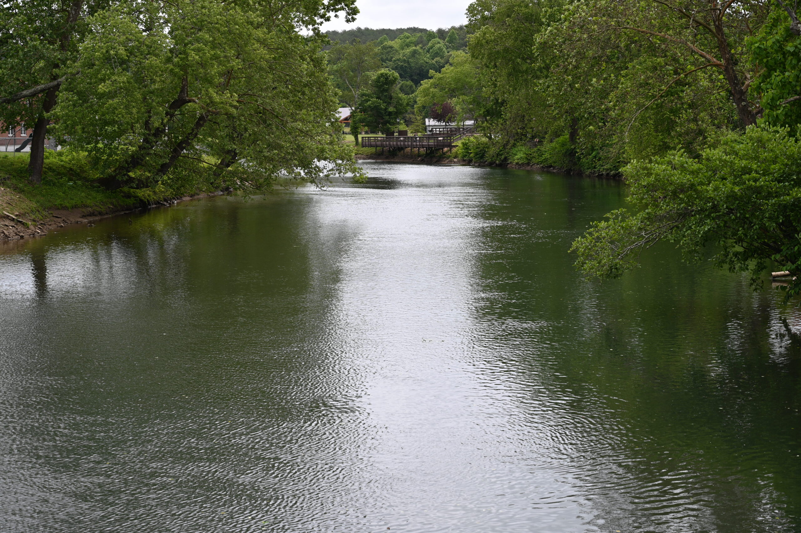 North Georgia Autism Conference