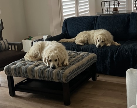 Long-Term Care Partnership Policies