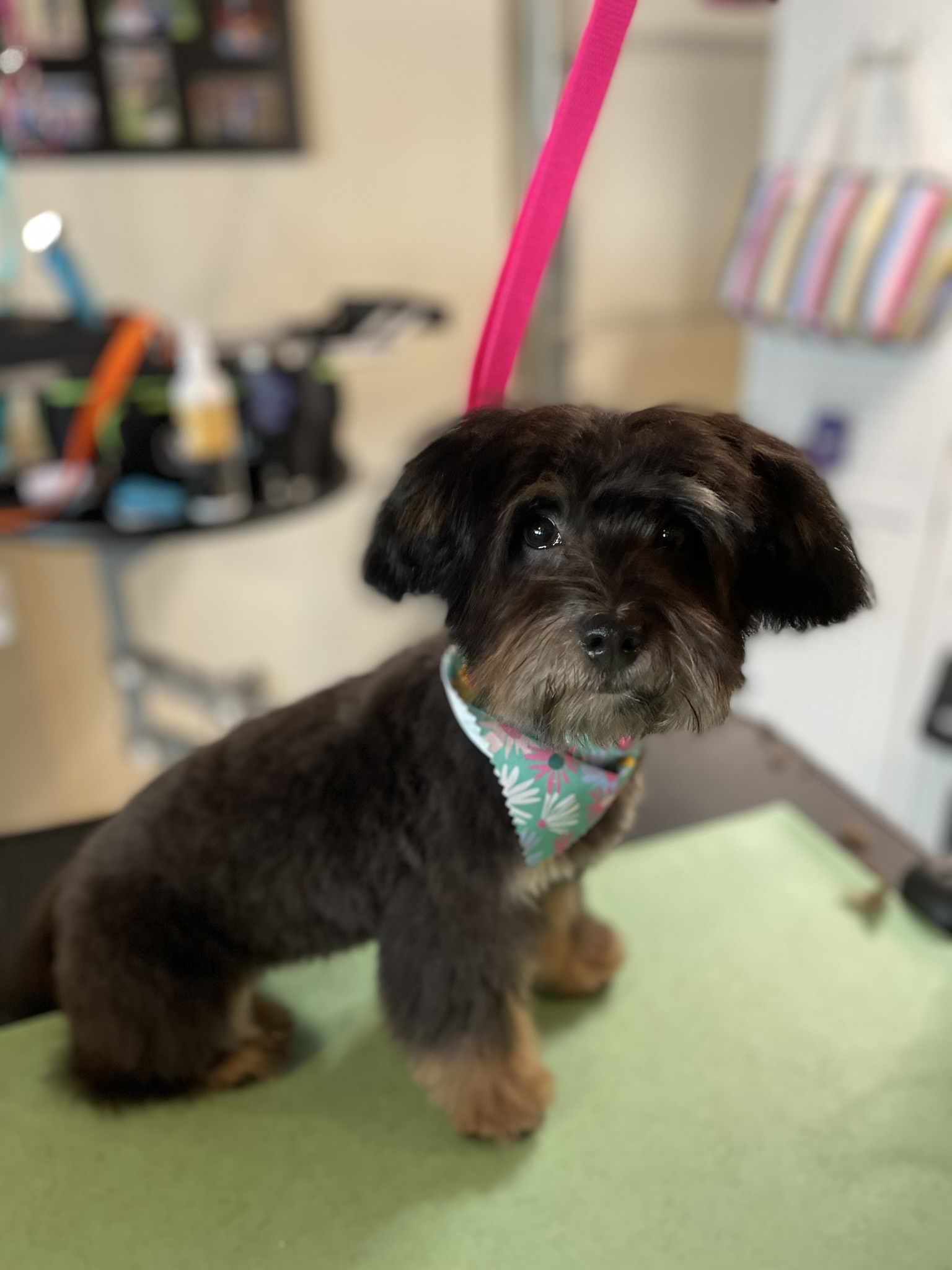 Guiding an Improved Dementia Experience