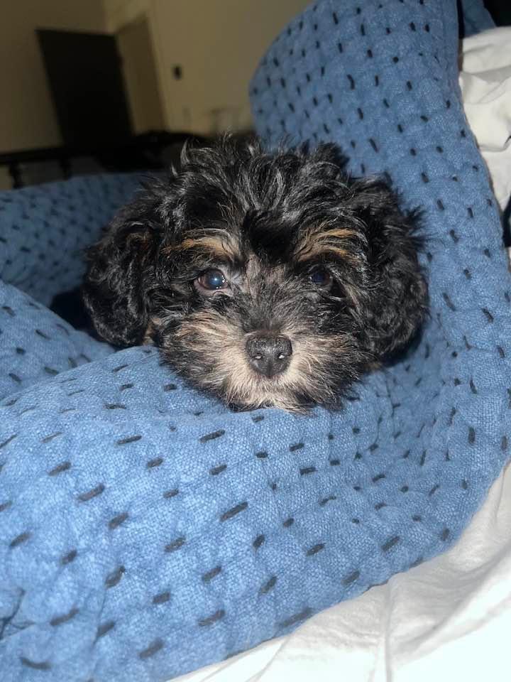 Recent Supreme Court Medicaid Case Does Not Change the Law