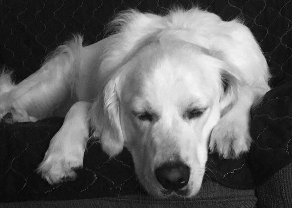 2025 Georgia Medicaid Transfer Penalty 