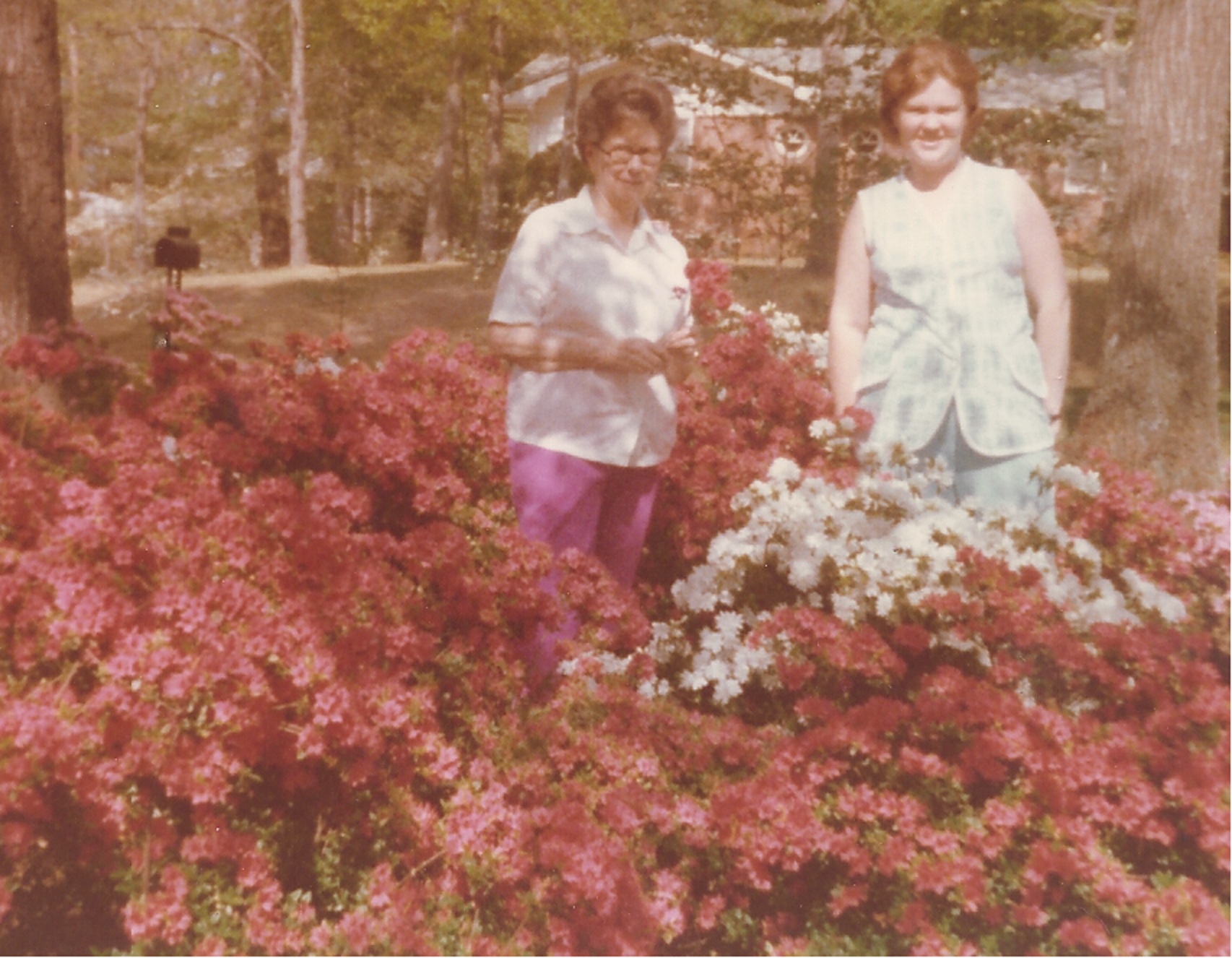 Order of Preference in Selection of Guardians